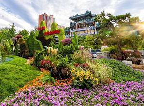 哈尔滨植物园爆料案件最新,惊现神秘命案,真相扑朔迷离! 第3张 哈尔滨植物园爆料案件最新,惊现神秘命案,真相扑朔迷离! 第3张