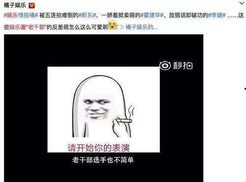 娱乐圈爆料专用语言 第3张 娱乐圈爆料专用语言 第3张